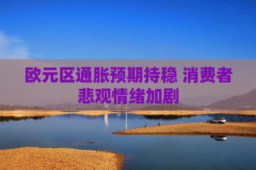 欧元区通胀预期持稳 消费者悲观情绪加剧  第1张