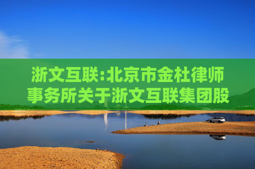 浙文互联:北京市金杜律师事务所关于浙文互联集团股份有限公司2024年年度股东大会的法律意见书  第1张
