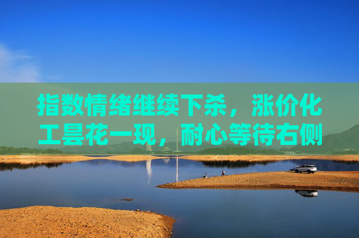 指数情绪继续下杀，涨价化工昙花一现，耐心等待右侧机会 #A股 #指数 #大盘 #量化 #短线