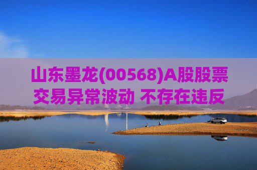 山东墨龙(00568)A股股票交易异常波动 不存在违反信息公平披露的情形