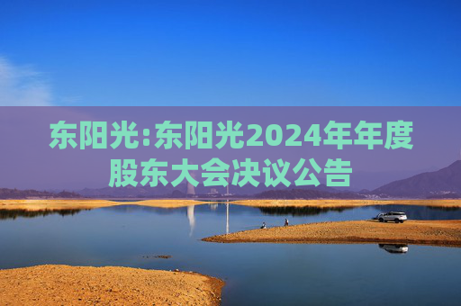 东阳光:东阳光2024年年度股东大会决议公告