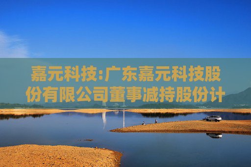 嘉元科技:广东嘉元科技股份有限公司董事减持股份计划公告  第1张
