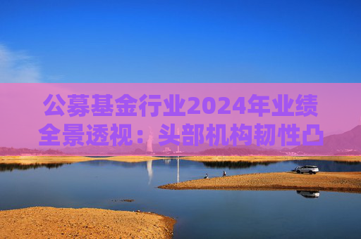 公募基金行业2024年业绩全景透视：头部机构韧性凸显 中小公司差异化突围  第1张