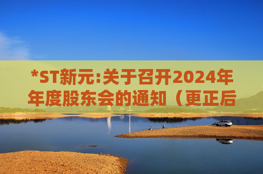 *ST新元:关于召开2024年年度股东会的通知（更正后）