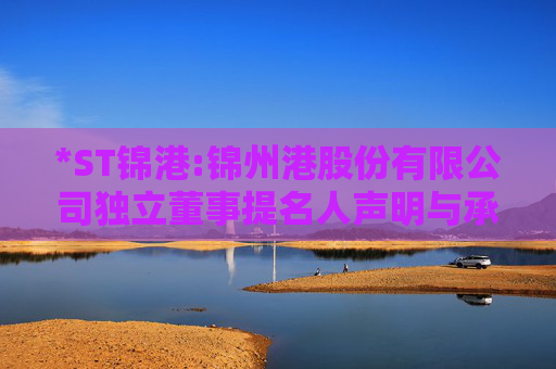 *ST锦港:锦州港股份有限公司独立董事提名人声明与承诺（刘野）
