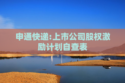 申通快递:上市公司股权激励计划自查表