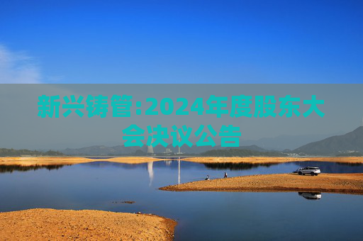 新兴铸管:2024年度股东大会决议公告