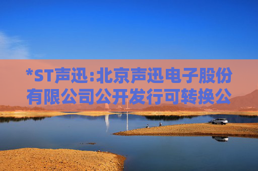 *ST声迅:北京声迅电子股份有限公司公开发行可转换公司债券第一次临时受托管理事务报告（2025年度）