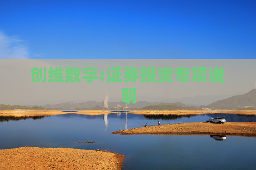 创维数字:证券投资专项说明
