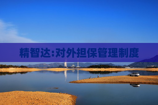 精智达:对外担保管理制度