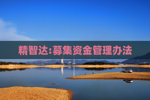 精智达:募集资金管理办法  第1张