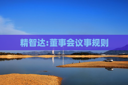 精智达:董事会议事规则  第1张