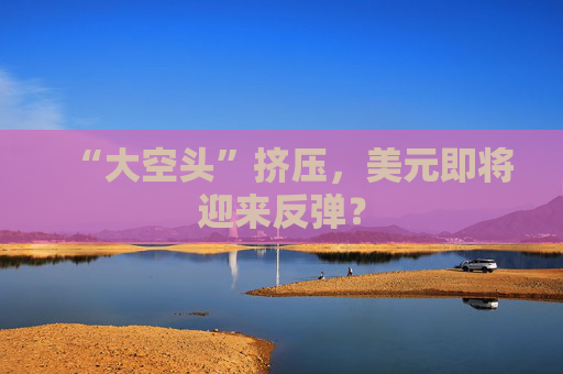 “大空头”挤压，美元即将迎来反弹？  第1张