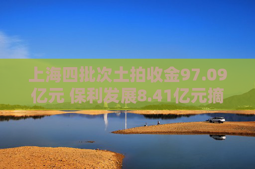 上海四批次土拍收金97.09亿元 保利发展8.41亿元摘得青浦一宅地