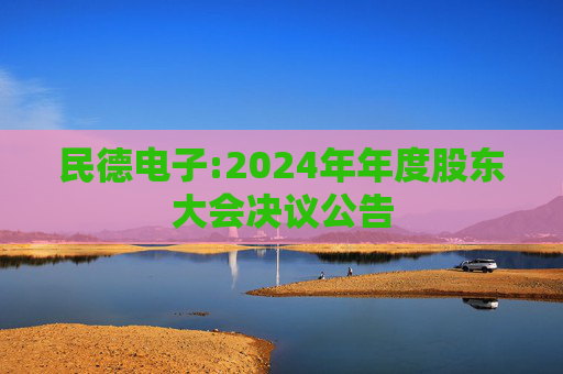 民德电子:2024年年度股东大会决议公告