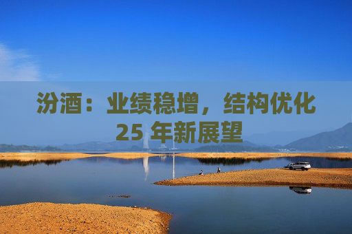 汾酒：业绩稳增，结构优化 25 年新展望