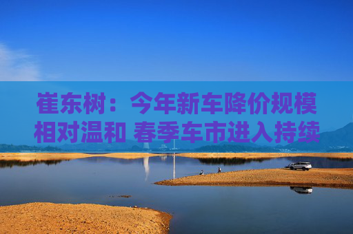 崔东树：今年新车降价规模相对温和 春季车市进入持续走强的良好状态  第1张