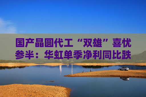 国产晶圆代工“双雄”喜忧参半：华虹单季净利同比跌近9成，中芯国际大涨166.5%