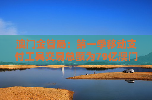 澳门金管局：第一季移动支付工具交易总额为79亿澳门元 同比上升8.7%