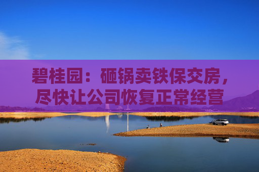 碧桂园：砸锅卖铁保交房，尽快让公司恢复正常经营