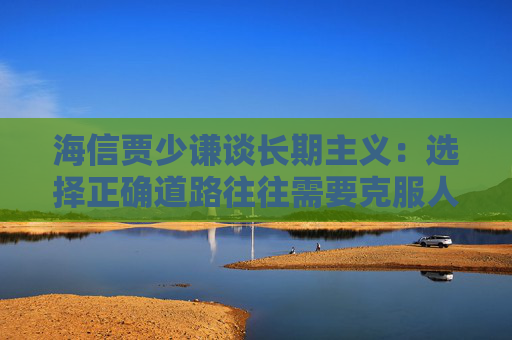 海信贾少谦谈长期主义：选择正确道路往往需要克服人性弱点，承受短期阵痛