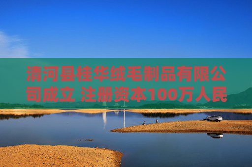 清河县桂华绒毛制品有限公司成立 注册资本100万人民币