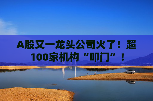 A股又一龙头公司火了！超100家机构“叩门”！