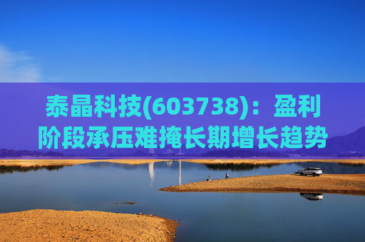 泰晶科技(603738)：盈利阶段承压难掩长期增长趋势 加码车规高附加值产品序列