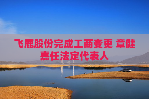 飞鹿股份完成工商变更 章健嘉任法定代表人
