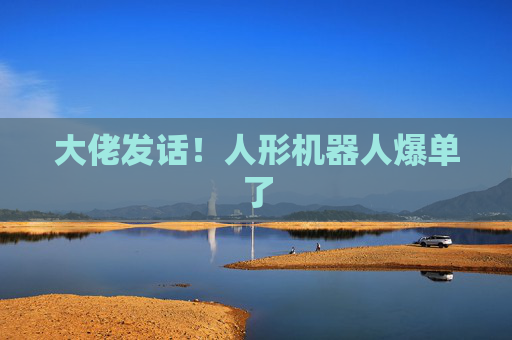 大佬发话！人形机器人爆单了  第1张