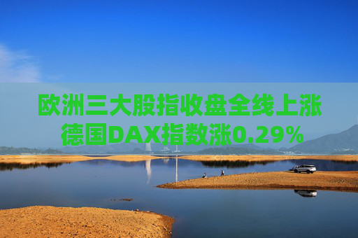 欧洲三大股指收盘全线上涨 德国DAX指数涨0.29%