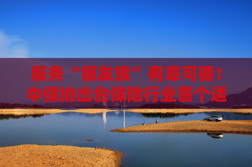 服务“银发族”有章可循！中保协出台保险行业首个适老服务规范
