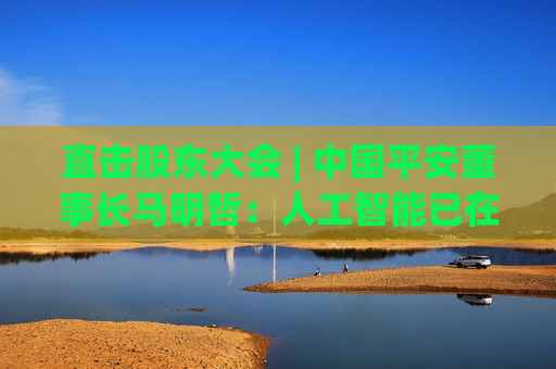 直击股东大会 | 中国平安董事长马明哲：人工智能已在平安主业的各个环节全面铺开