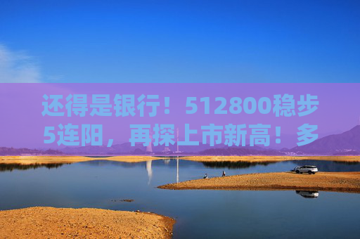 还得是银行！512800稳步5连阳，再探上市新高！多股续创历史，险资持续“爆买”