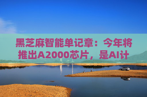 黑芝麻智能单记章：今年将推出A2000芯片，是AI计算效率的重大突破