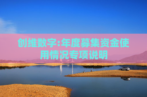 创维数字:年度募集资金使用情况专项说明