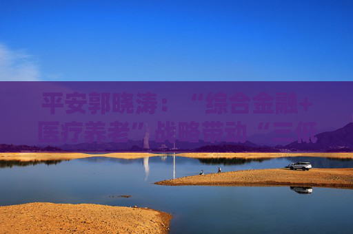 平安郭晓涛：“综合金融+医疗养老”战略带动“三低一高”和“三差”优化