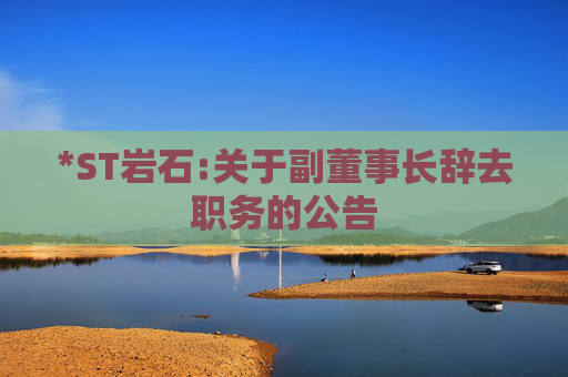 *ST岩石:关于副董事长辞去职务的公告