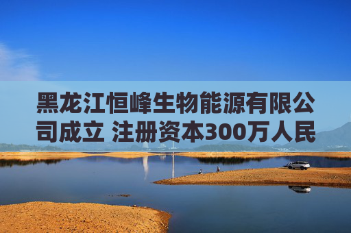 黑龙江恒峰生物能源有限公司成立 注册资本300万人民币
