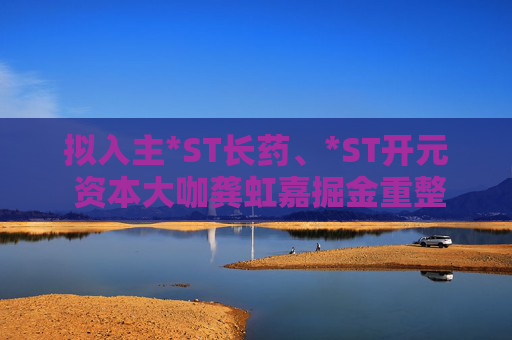 拟入主*ST长药、*ST开元 资本大咖龚虹嘉掘金重整市场