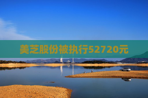 美芝股份被执行52720元