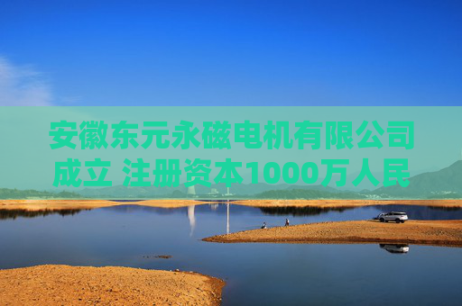 安徽东元永磁电机有限公司成立 注册资本1000万人民币