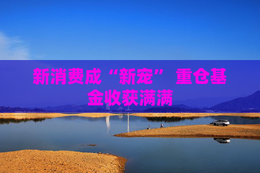 新消费成“新宠” 重仓基金收获满满