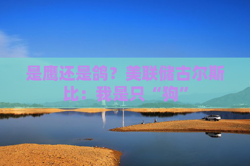 是鹰还是鸽？美联储古尔斯比：我是只“狗”