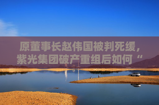 原董事长赵伟国被判死缓，紫光集团破产重组后如何“求生”？