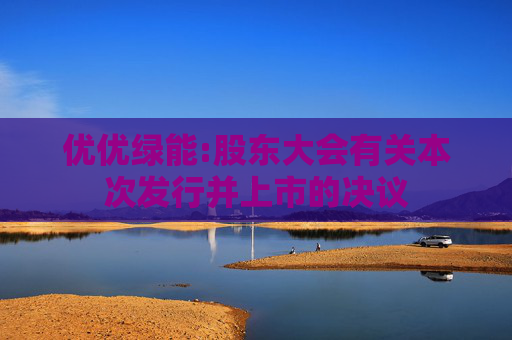 优优绿能:股东大会有关本次发行并上市的决议