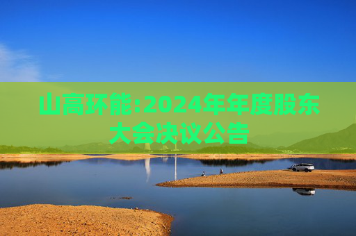 山高环能:2024年年度股东大会决议公告
