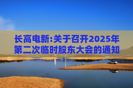 长高电新:关于召开2025年第二次临时股东大会的通知