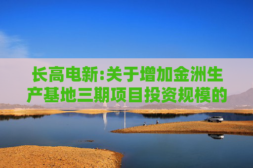 长高电新:关于增加金洲生产基地三期项目投资规模的公告