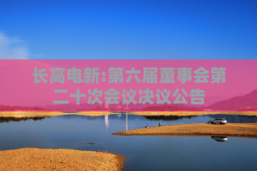 长高电新:第六届董事会第二十次会议决议公告